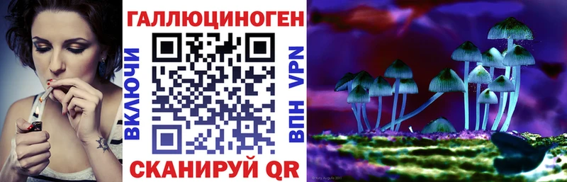 Купить где  Поворино  Псилоцибиновые грибы прущие грибы 