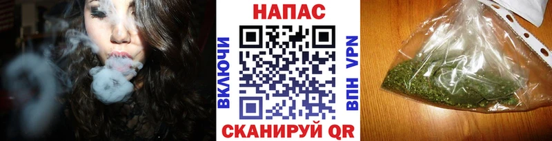 Купить закладки  Поворино  Бошки Шишки Ganja 